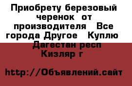 Приобрету березовый черенок  от производителя - Все города Другое » Куплю   . Дагестан респ.,Кизляр г.